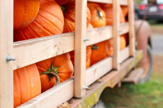With Fall Upon Us