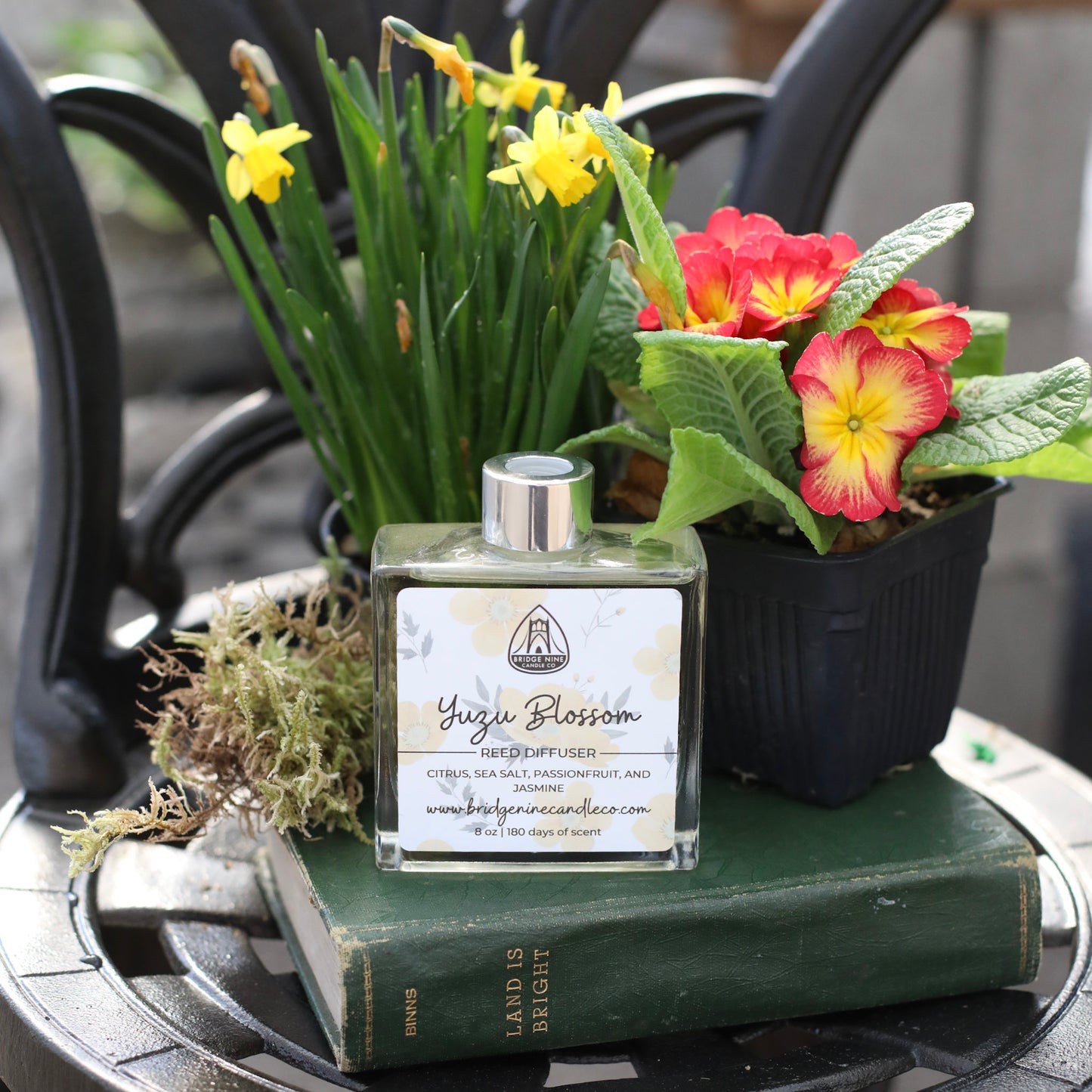 Reed Diffusers | Spring