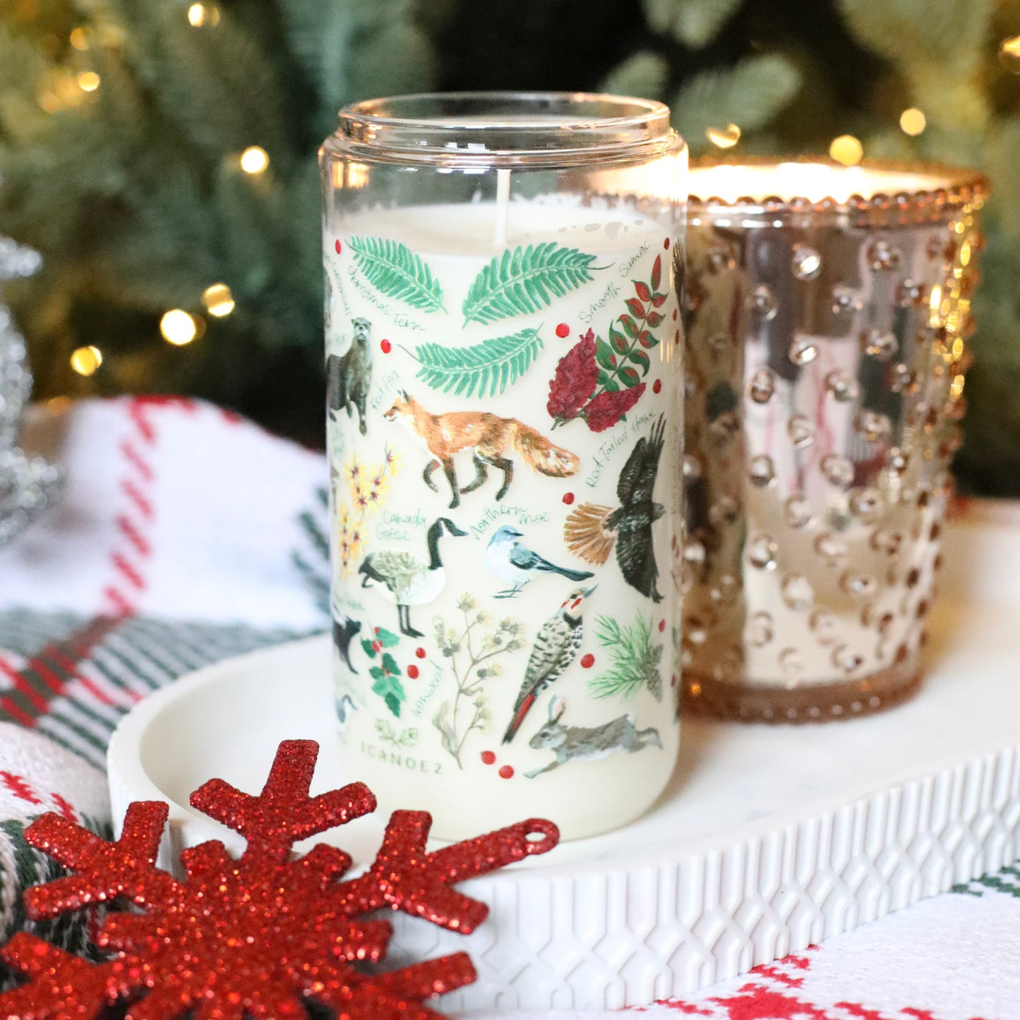 Winter Flora & Fauna Soda Can Glass