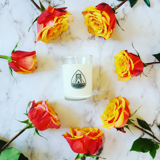 Alo+Vera & Bridge Nine Candle Co.